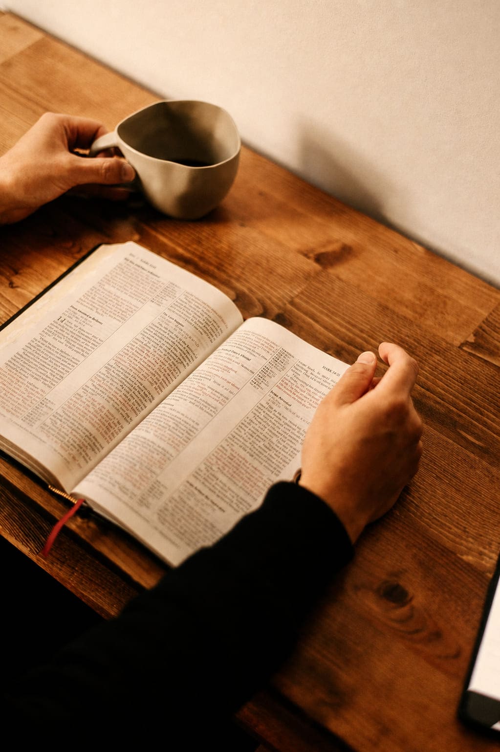 Person reading the Bible